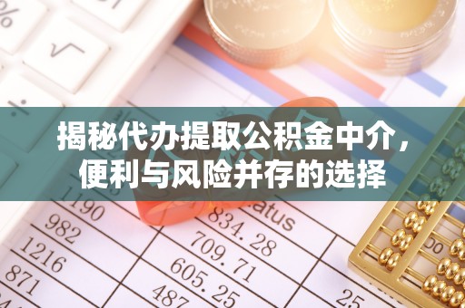 康平揭秘代办提取公积金中介，便利与风险并存的选择