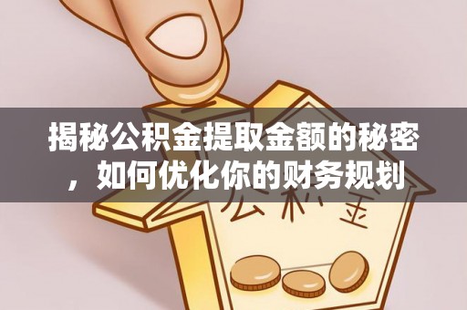 康平揭秘公积金提取金额的秘密，如何优化你的财务规划