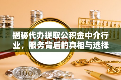 康平揭秘代办提取公积金中介行业，服务背后的真相与选择指南