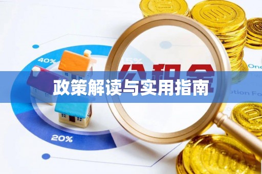 康平政策解读与实用指南