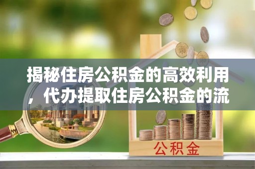 康平揭秘住房公积金的高效利用，代办提取住房公积金的流程与技巧