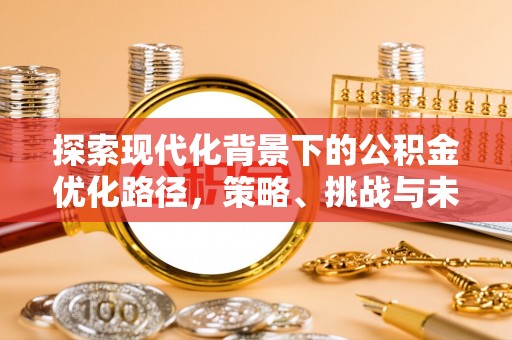 康平探索现代化背景下的公积金优化路径，策略、挑战与未来展望