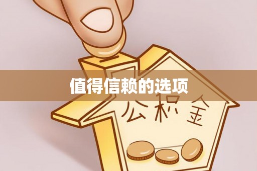 康平值得信赖的选项