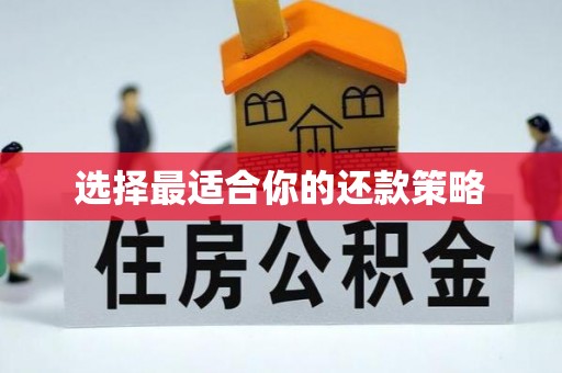 康平选择最适合你的还款策略