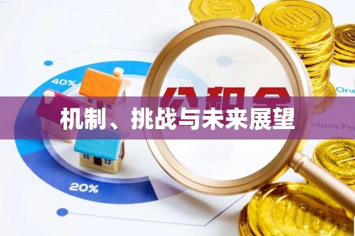 康平机制、挑战与未来展望